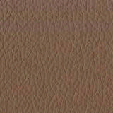 lx_tp_905.jpg